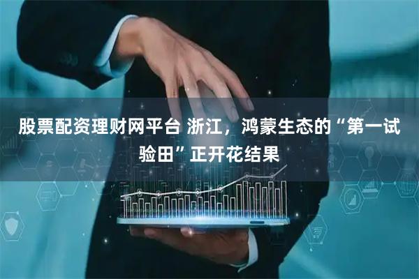 股票配资理财网平台 浙江，鸿蒙生态的“第一试验田”正开花结果