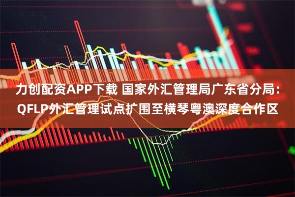 力创配资APP下载 国家外汇管理局广东省分局：QFLP外汇管理试点扩围至横琴粤澳深度合作区